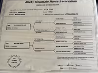 घोड़ा, Rocky Mountain Horse — फ़ोटो 5