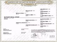 Stute, Quarter Horse — Foto 4