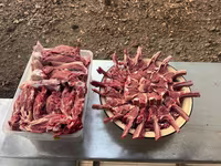 كبش, Rhon sheep — الصورة 6