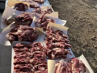 كبش, Rhon sheep — الصورة 6