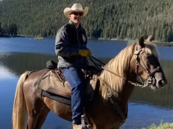 घोड़ा, Rocky Mountain Horse